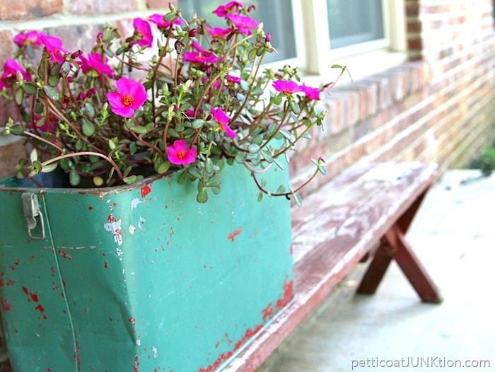 Fun-Junky-Finds-Make-Great-Flower-Planters-Petticoat-Junktion_thumb